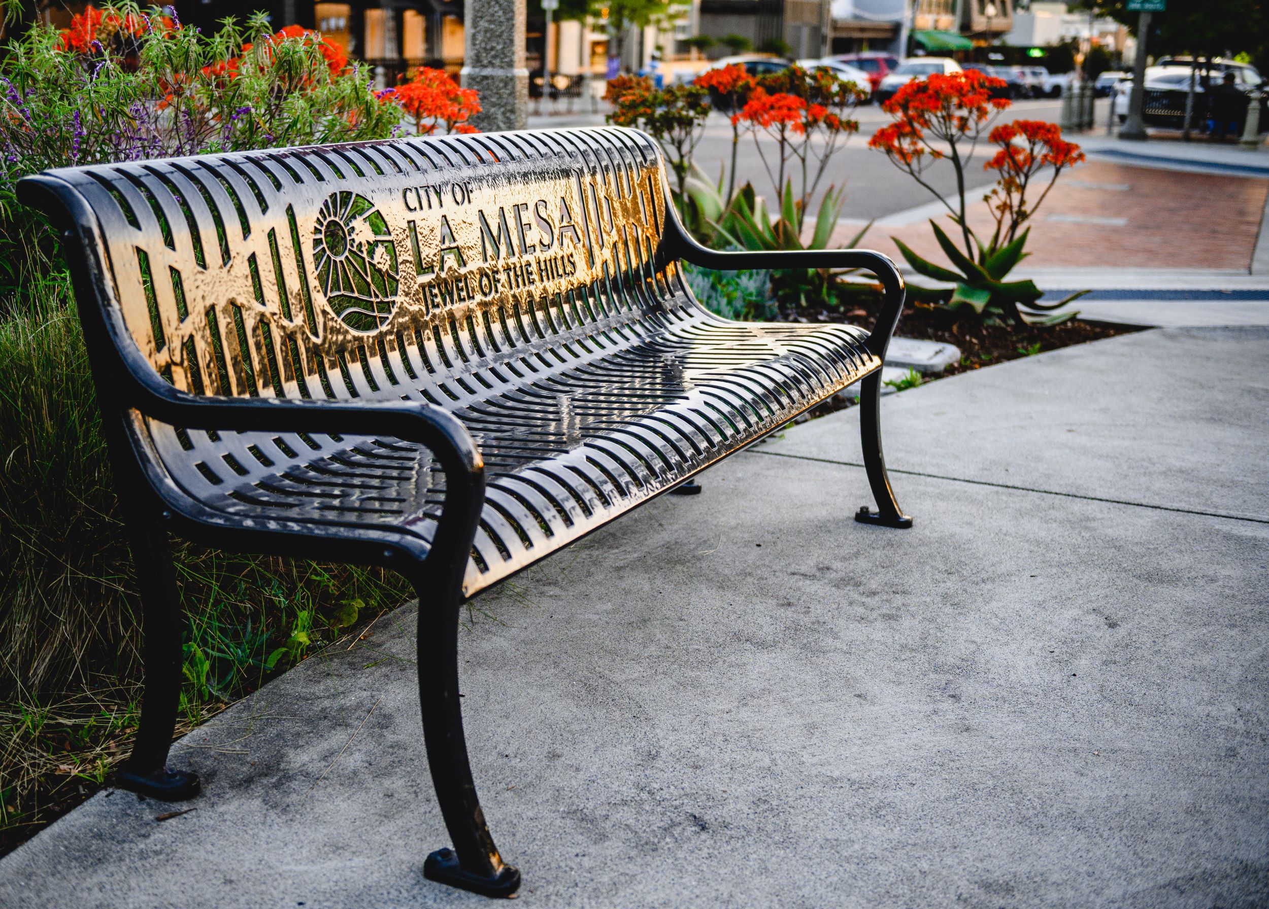 La Mesa Shutterstock 1374812165